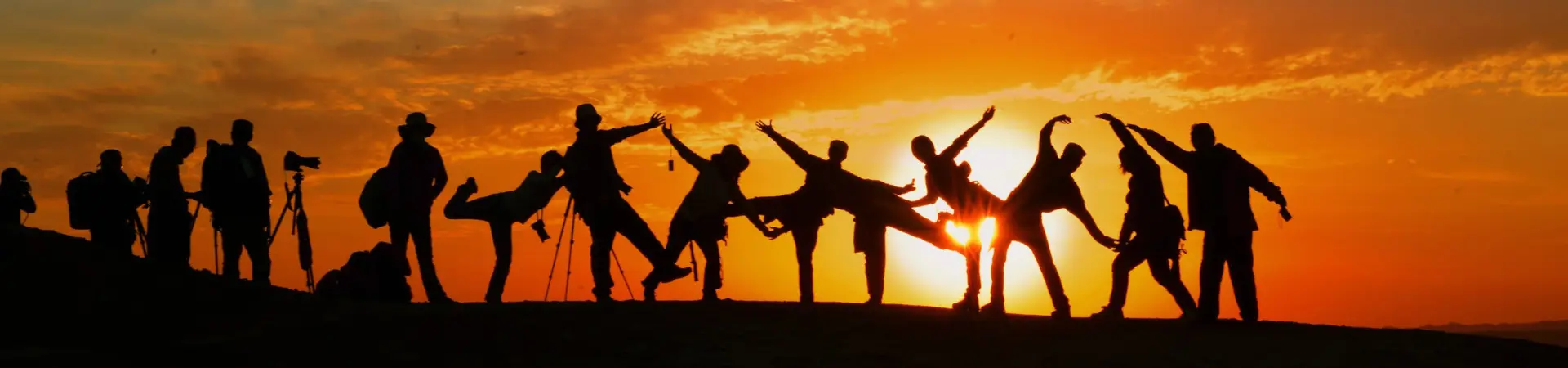 Tour and Travel Consultant